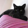 2010-09-22 Patte qui depasse_l.jpg